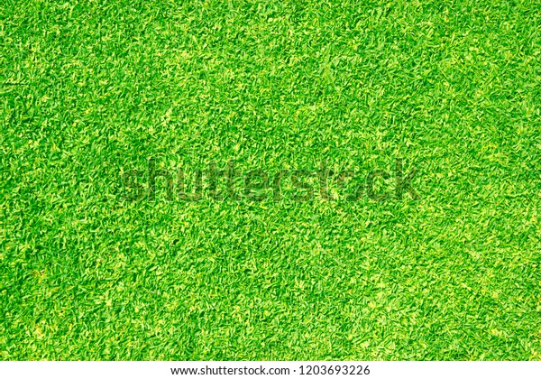 Natural Grass Texture Pattern Background Golf Stock Photo Edit