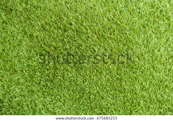 Natural Grass Texture Patterned Background Golf Nature