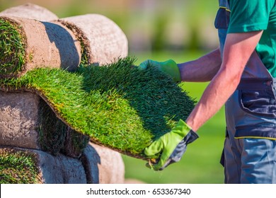 Natural Grass Turf Check Before Installation In A Garden.