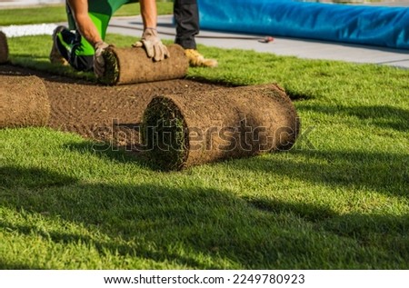 Natural Grass Turfs Rolling Over Inside Residential Backyard. Landscaping Industry Job.