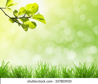 Natural Green Background Stock Photo (Edit Now) 337803920