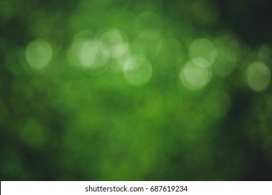 Natural green background with bokeh circles from tree and leaf. green blurry used for backdrop. - Shutterstock ID 687619234