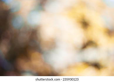 Natural Green Blured Background With Bokeh