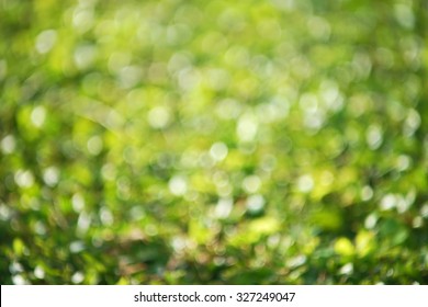 natural green blurred background with swirl bokeh effect     - Shutterstock ID 327249047