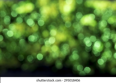 Green Blurry Background Images, Stock Photos & Vectors | Shutterstock