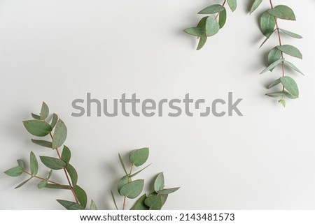 Natural green eucalyptus branches on empty light grey background with copy space. Trendy layout with fresh plant. Eco spring concept. Skin care product advertising. Top view. minimal composition.