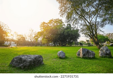 Natural green grass field in sunrise in the park with tree sunshine on the grass green environment public park natural, Rock stone grass on the field sunrise or sunset landscape in the summer time 