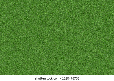 Natural Green Grass Texture. Perfect Golf Or Football Field Background. Top Close Up View, Horizontal