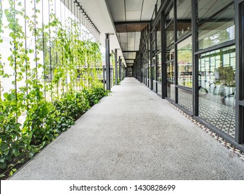 Natural Green Scenery View Modern Glass Office