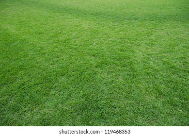 natural green trimmed grass field background for sports.