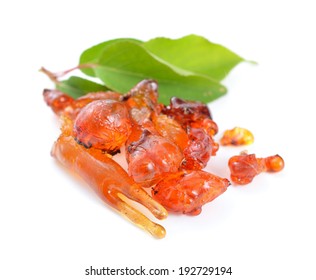 Natural Gum Of Apricot Tree. Isolated.