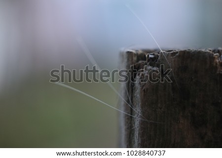 Similar – Image, Stock Photo The lonely screw