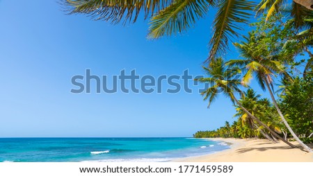 Natural Hawaiian palms beach landscape in summer sunny day. Coconut palm trees and palm leaves hang over a beautiful blue sea and sky. 