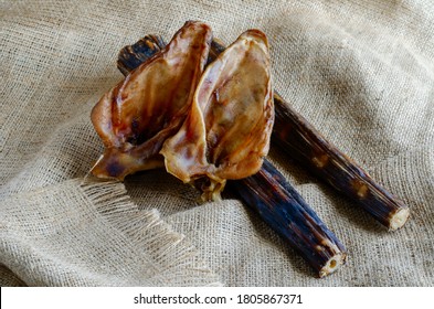 Natural healthy dried treats for dogs concept. Dried beef tails and pork ears on sacking. Treats for cleaning pet teeth and gums. Pet supplies.