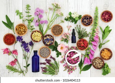 Natural herbal medicine selection with herbs and flowers in wooden bowls and loose, glass aromatherapy essential oil bottles and mortar with pestle on rustic wood background. Top view.