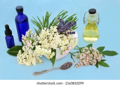 Natural Herbal Plant Medicine With Valerian, Lavender And Elder Flower Herbs In A Mortar With Essential Oil Bottles. Used As A Tranquilizer To Treat Anxiety, Insomnia And Is A Calming Medication. 