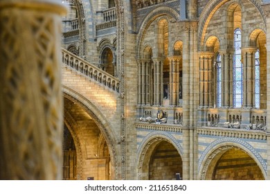 Natural History Museum Interior In London, United Kingdom