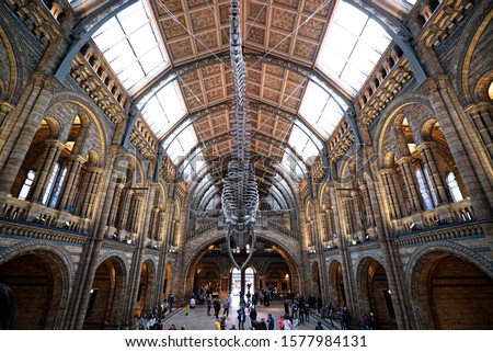 natural history museum, in London