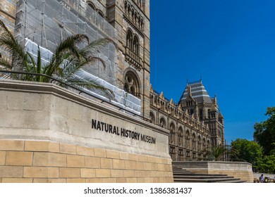 Natural History Museum In London, UK