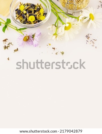 Natural, homemade, herbal tea from wild plants and flowers. Home herbal apothecary concept. Eco friendly composition with natural flowers and herbs, tea bags on a white background with copy space