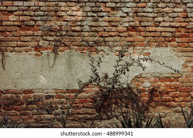 Natural Ivy Frame On An Old Brick Wall