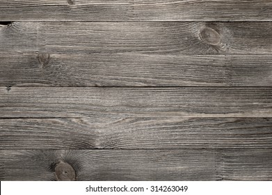 Natural Knotted Gray Weathered Wood Plank Texture Background. 