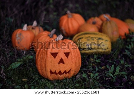 Natural lamp made of pumpkin harvested from the farm for Halloween. Autumn vegetable sculptures for celebrating a celtic tradition Foto stock © 