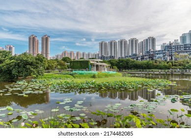 Natural Landmark The Hong Kong Wetland Park
