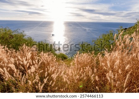 Similar – Image, Stock Photo Always sea Evening