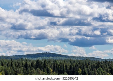 The natural landscape and clouds. Spring. The sun in his eyes. - Shutterstock ID 521680642