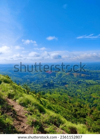 Natural landscape with green Wayanad Kerala India