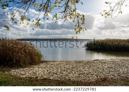 Natural landscape. Lake Senftenberg. Federal State of Brandenburg. Germany.