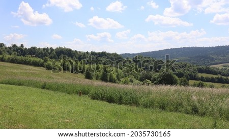 natural landscape of przemysl foothills, poland