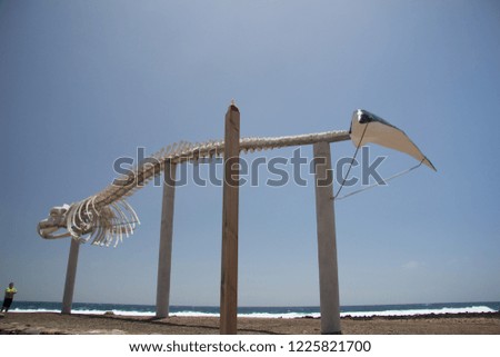 Similar – Child and dog by the sea