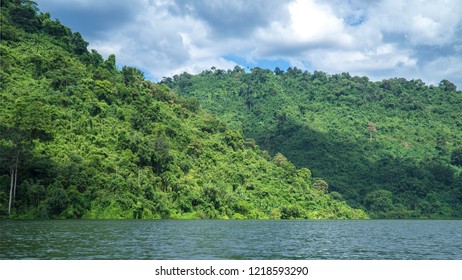Similar Images Stock Photos Vectors Of Dense Jungle Surrounding The Green Water Of Rio Dulce In East Guatemala Shutterstock