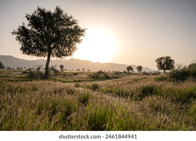 Natural Landscape View of United Arab Emirates