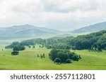 Natural Landscape of Wulanbutong Grassland in Inner Mongolia China