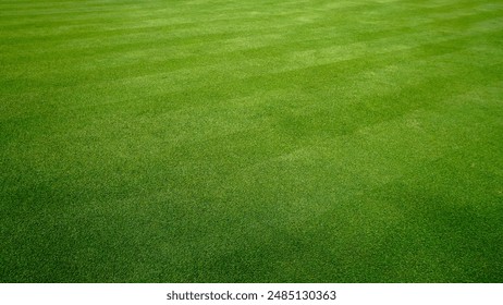 Natural lawn green grass texture. Beautiful natural new green grass texture; new playground on a stadium - Powered by Shutterstock