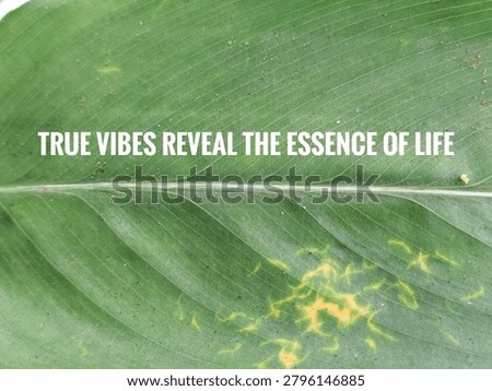 Natural leaf backdrop emphasizing authenticity and essence revealed through true vibes