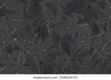 Natural leaf background. Background concept. Leaf pattern concept illustration