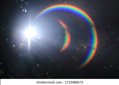 Natural Lens Ring Rainbow Flare At The Forest