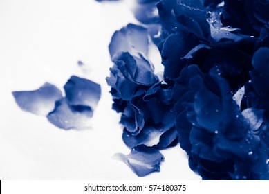natural light and shadow in vintage style of blur blue roses and blue rose petals in bath decorated for special period. Romantic set up for Valentine Day,Honeymoon,Wedding Anniversary