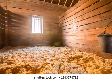 Natural Lighted Horse Barn