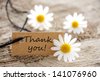 thank you with flowers