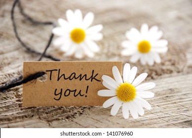 a natural looking banner with thank you and white blossoms as background