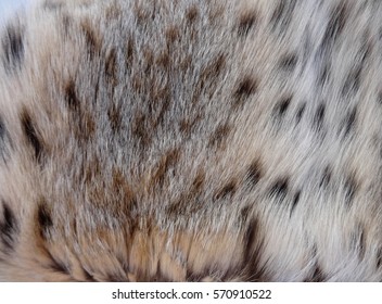 Natural Lynx Fur