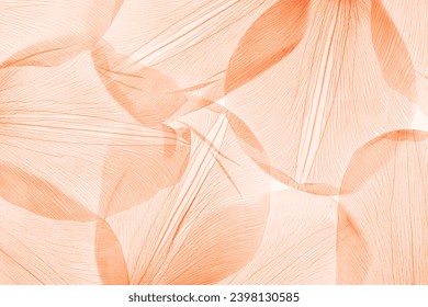 Natural macro leaves as minimal style abstract nature pattern, veins of leaf, textured foliage close up, peach fuzz trend color 2024 year monochrome background. Aesthetic nature macro trends