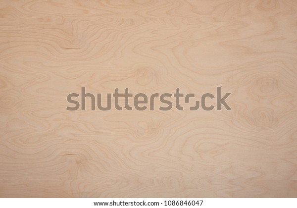 Natural Mainau Birch Wood Panel Texture Stock Photo Edit Now