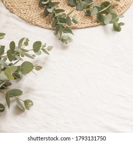 Natural materials style with leaves of eucalyptus on a light fabric background. Eco-friendly bath essentials. Zero waste supplies for personal hygiene. - Powered by Shutterstock