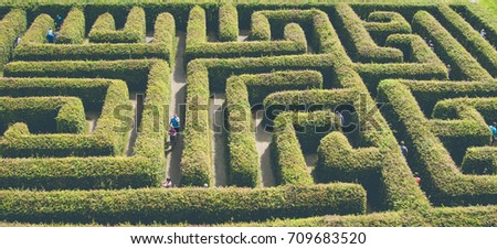 natural maze from the hedge,good fun and entertainment.